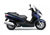 2009 Suzuki Burgman 125 photo